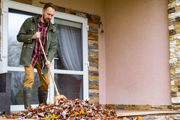 Yard Cleanup Services in Glade Spring, VA
